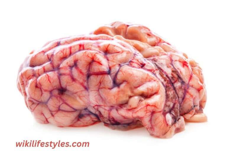 Explore 20 plus Mind-Blowing Human Brain Facts