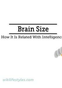 Explore 20 plus Mind-Blowing Human Brain Facts